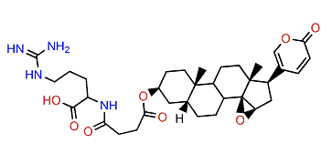 3-(N-Succinoyl argininyl)-resibufogenin